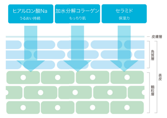 クニュール ボタニカルモイスチャーローション